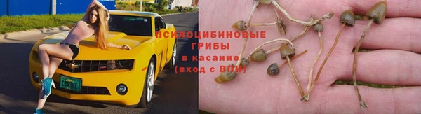 ALPHA-PVP Арсеньев